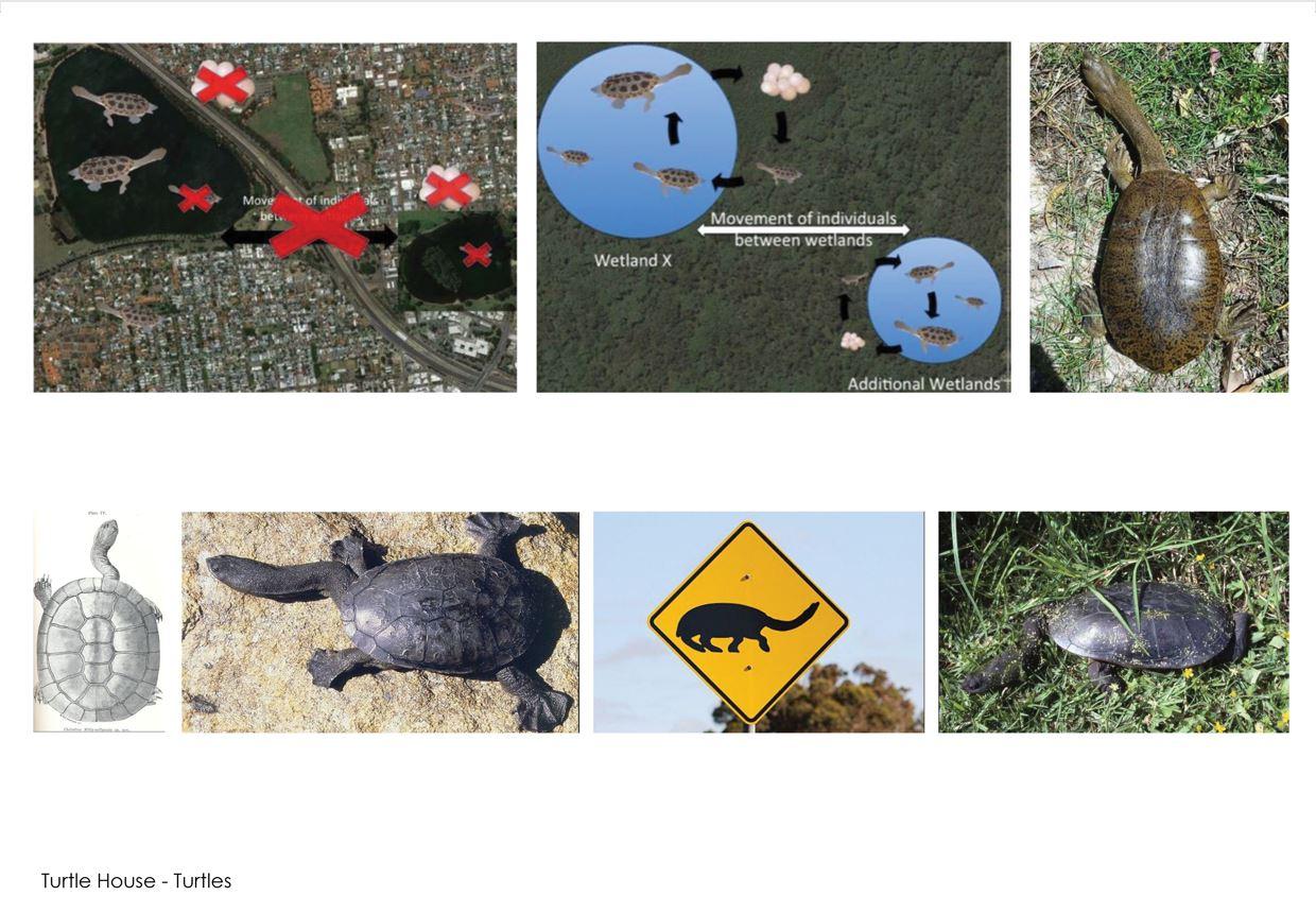 13 Slide 13