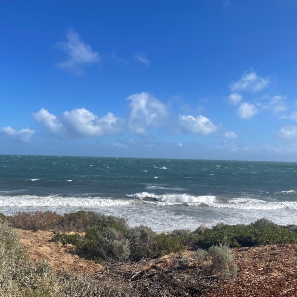 Sea Breeze