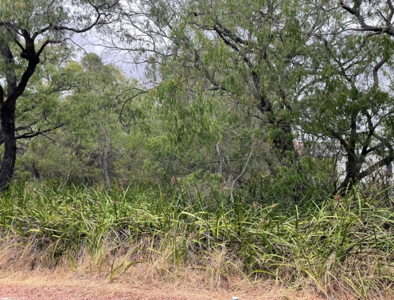 8 a