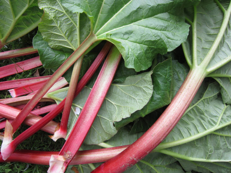 Garden HH Vegetable 1