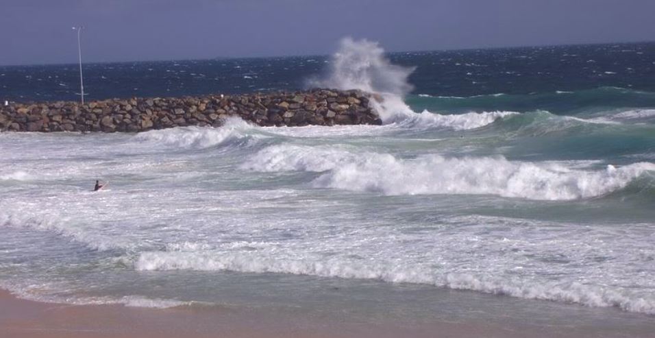Cott Surf 8