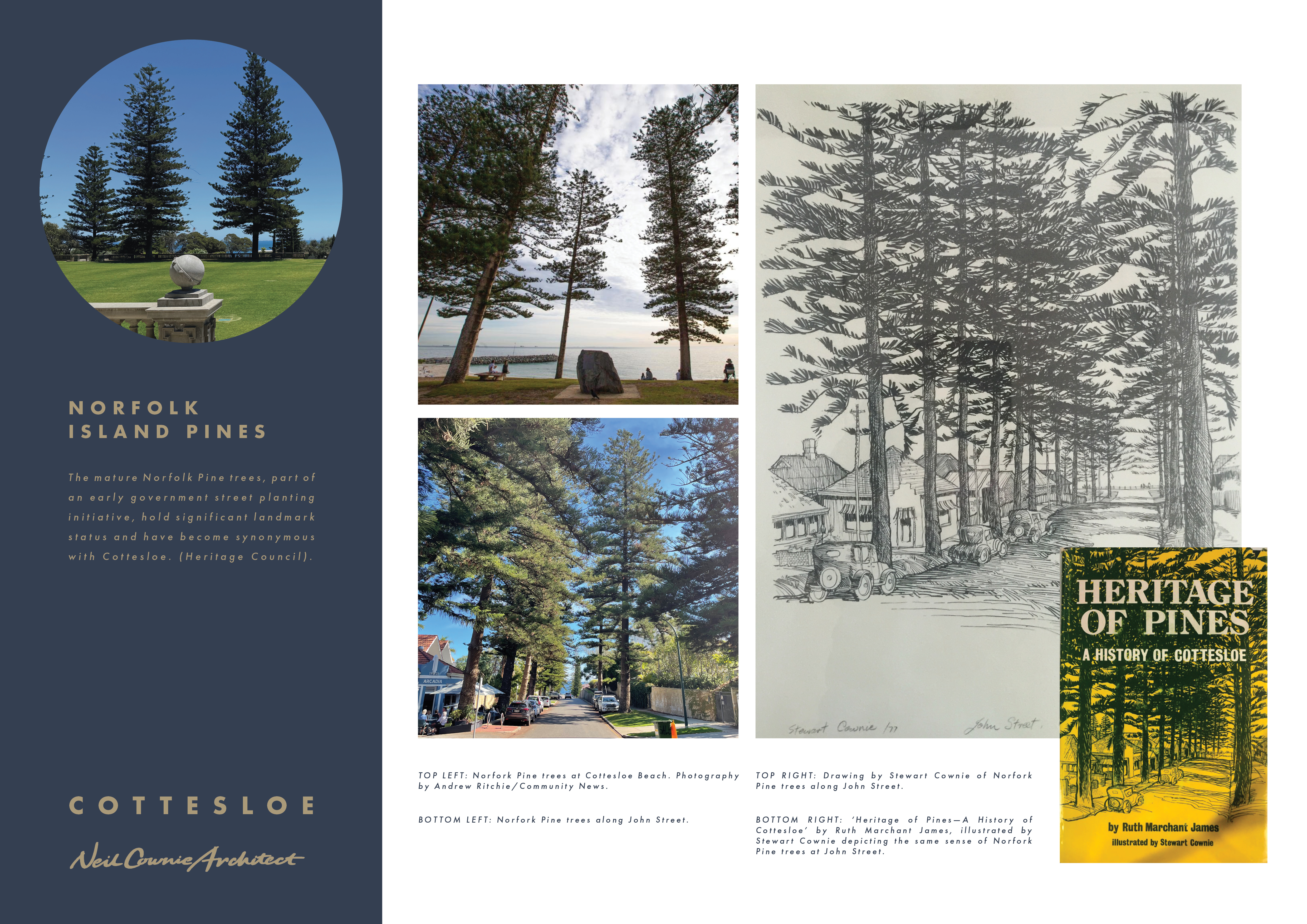 Cottesloe11