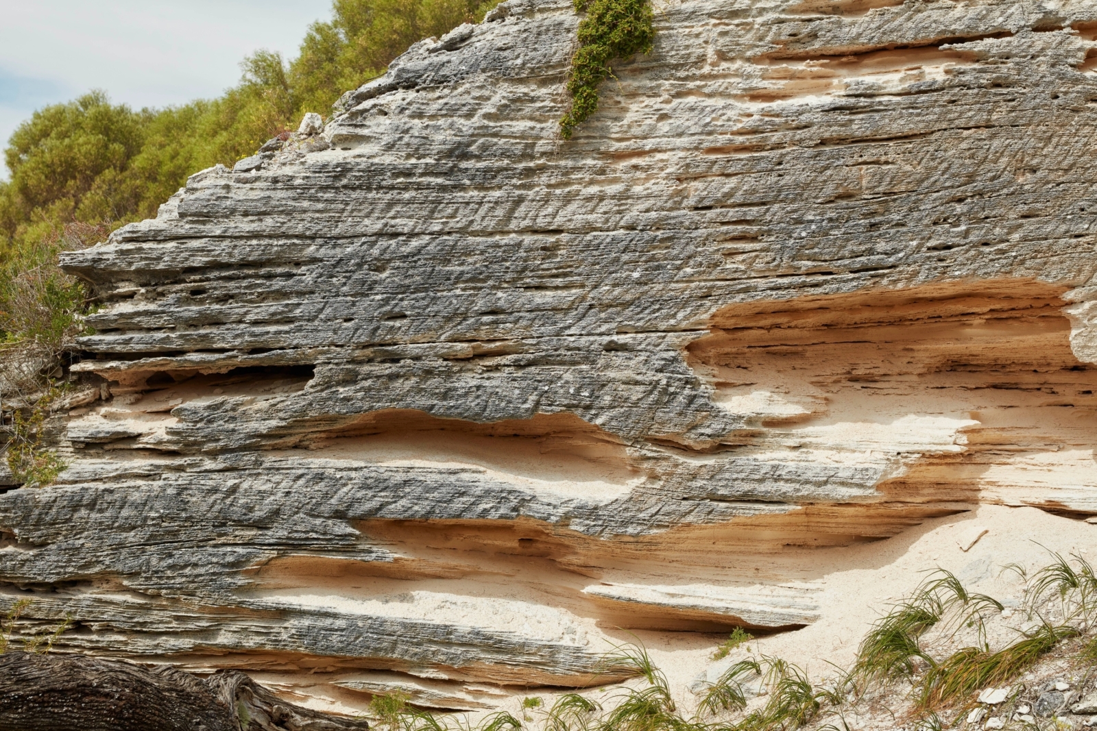 0 5 Rottnest
