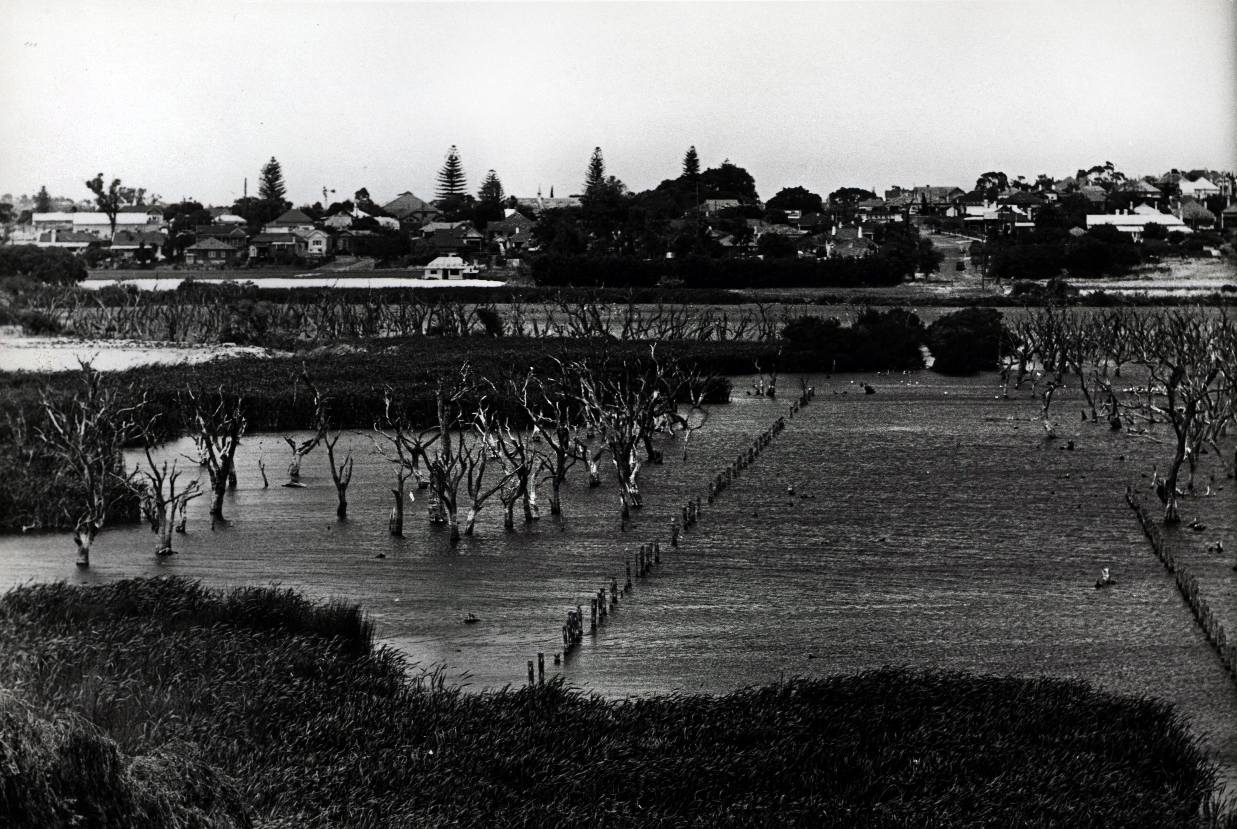 Original Village 2