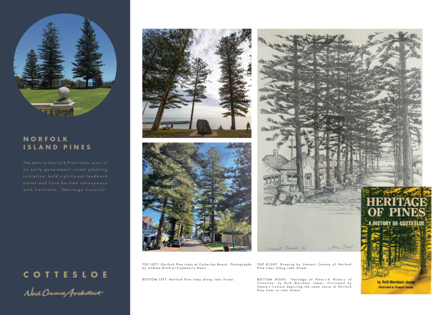Cottesloe11