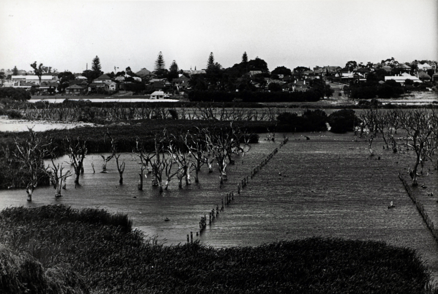 Original Village 2