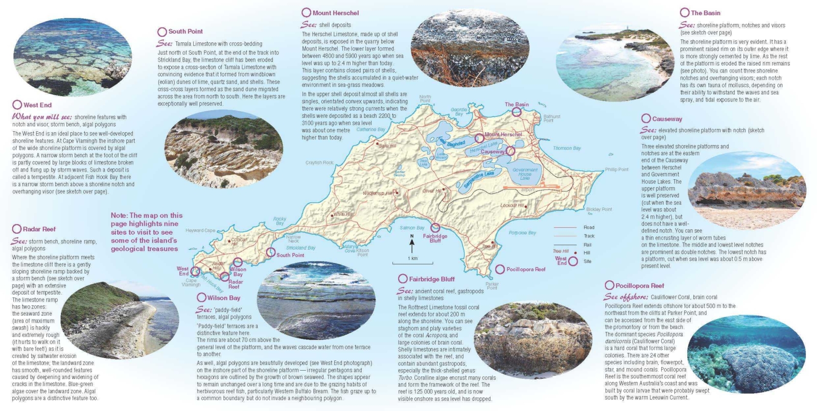 0 10 Rottnest