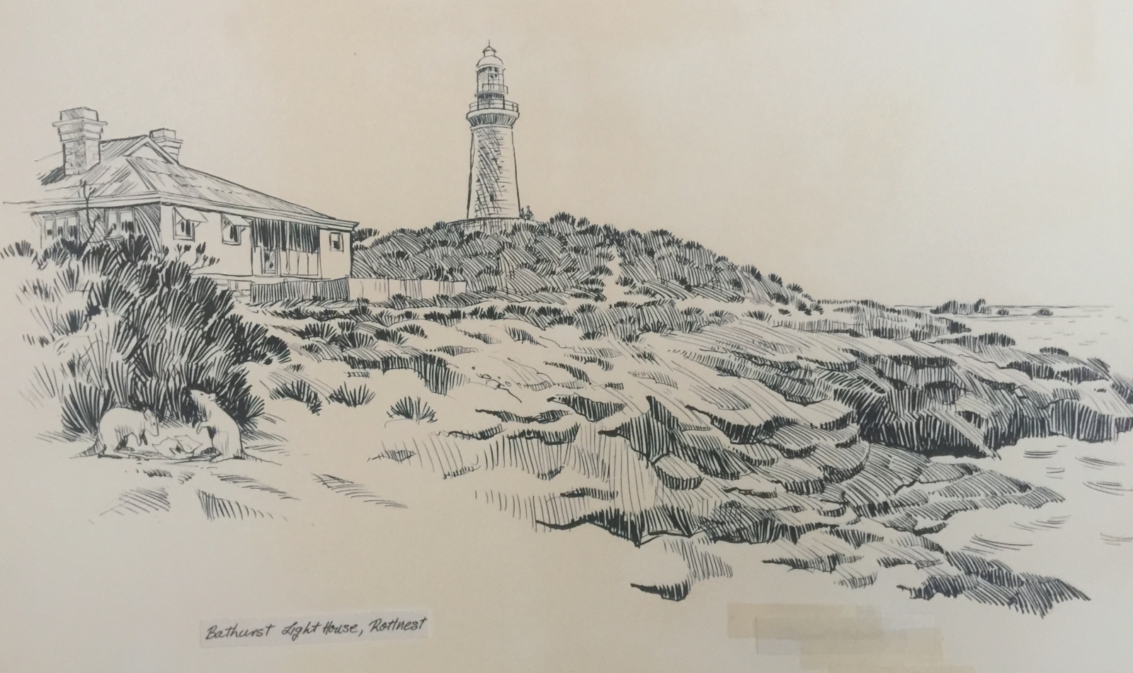 0 11 Rottnest