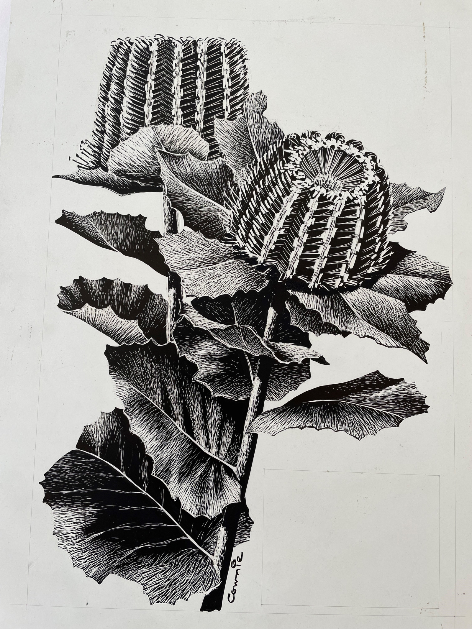 29 0